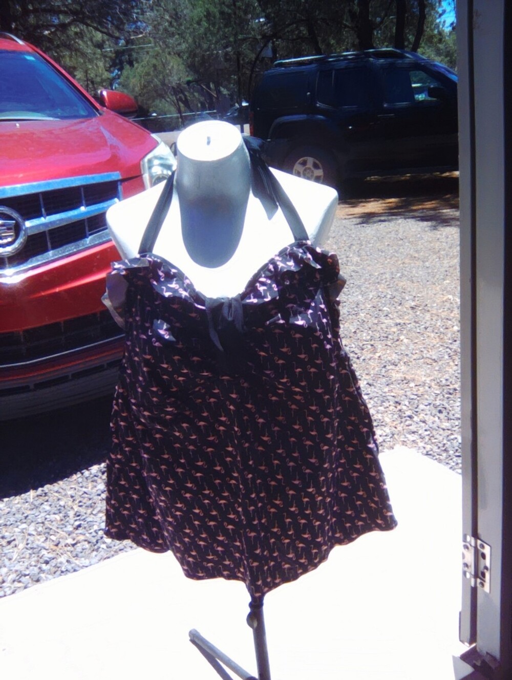 2pc Catalina Black Swimdress with Pink Accent Print